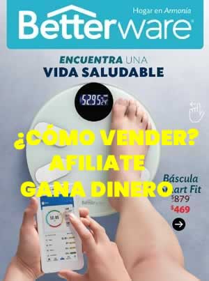 Cómo Vender Betterware por Catálogo